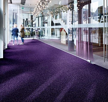 Forbo Coral Brush 5709 royal purple фото 2 | FLOORDEALER